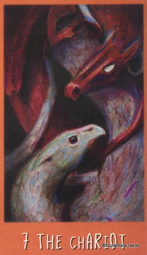 The Raven's Prophecy Tarot